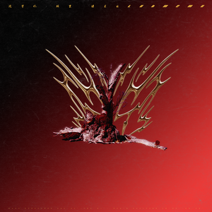 欧美Gay裸体自慰
