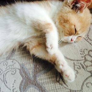 欧美Gay裸体自慰
